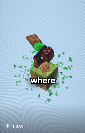 Minecraft short produced by TeraGrowth with 1.3 million views